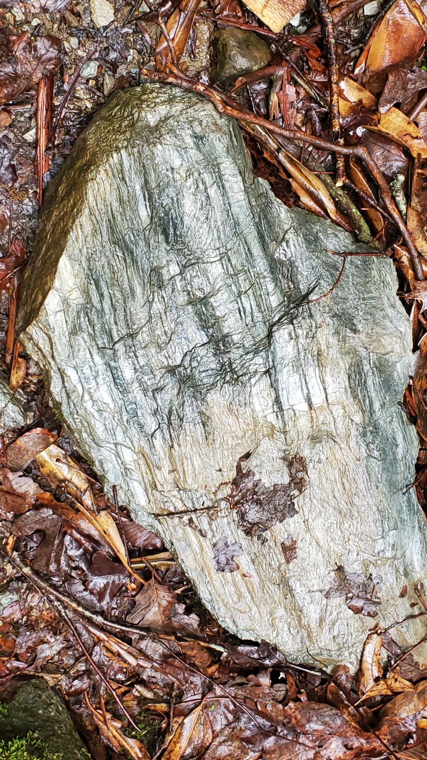 Old Sugarlands Trail 